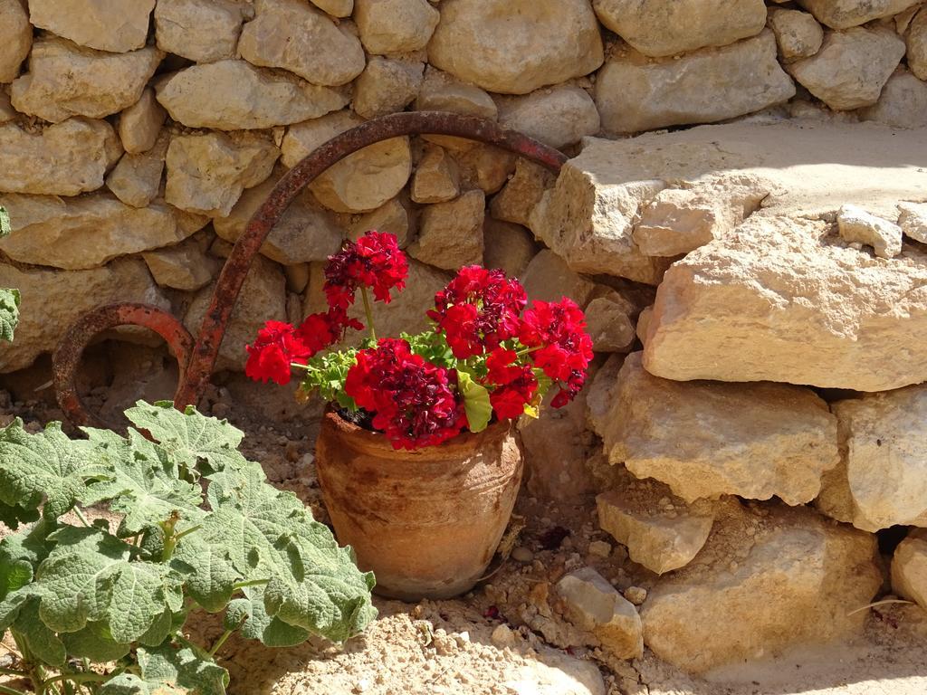 Cortijo Romero Venta de Micena Exterior photo