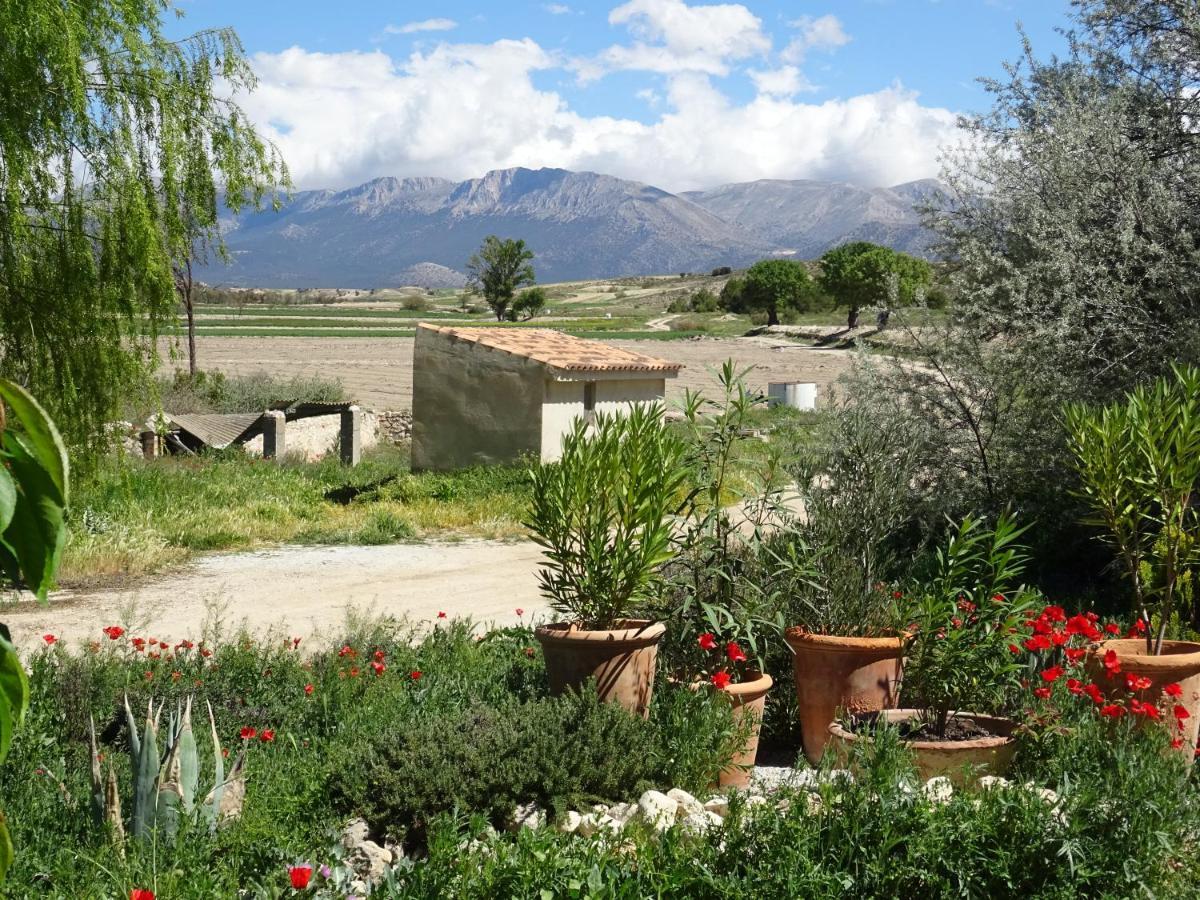 Cortijo Romero Venta de Micena Exterior photo